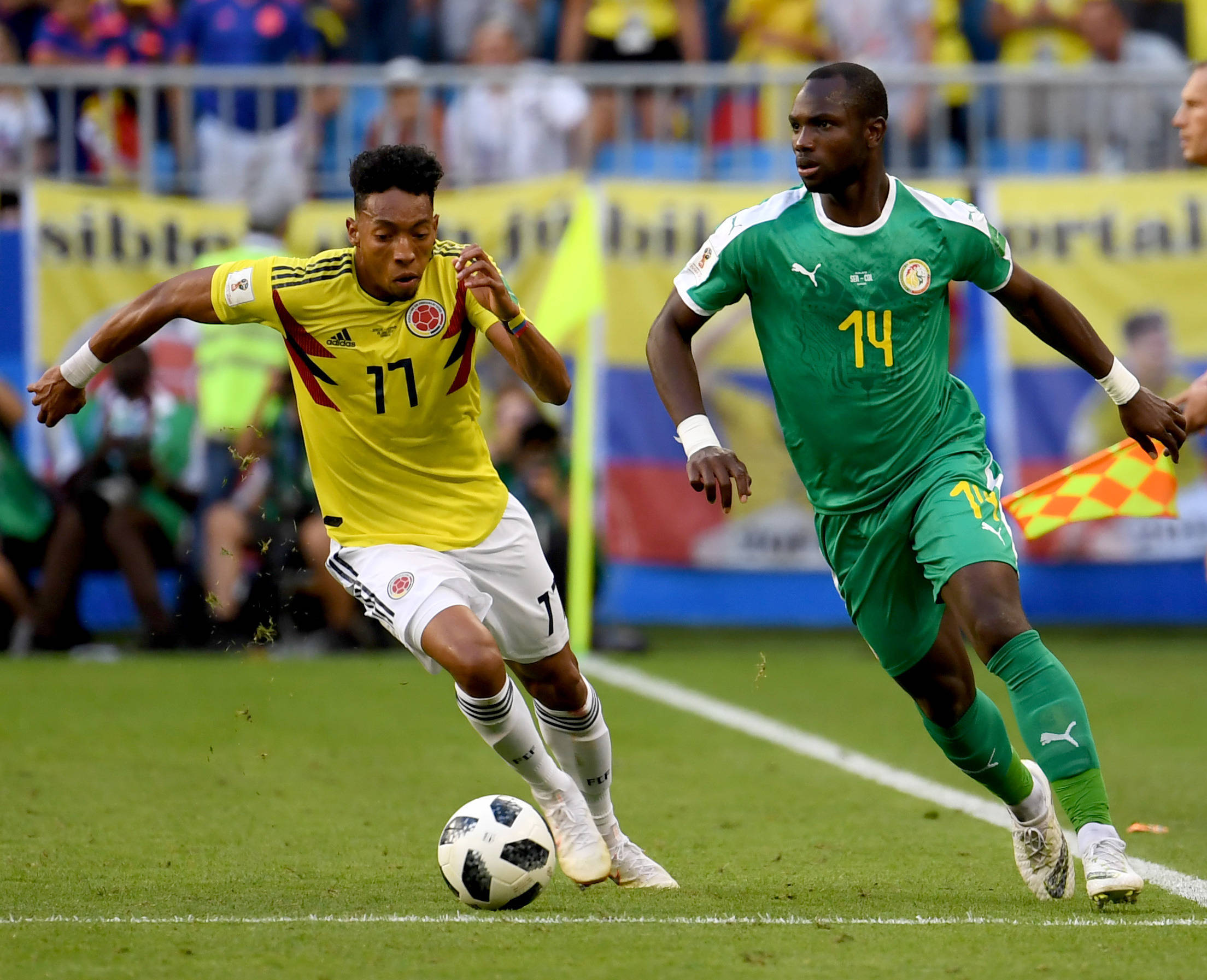 关注的世界 关注的世界